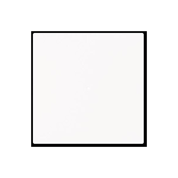 Busch-Jaeger Wippe, 1-fach neutral ohne Bedruckung 6230-10-44M